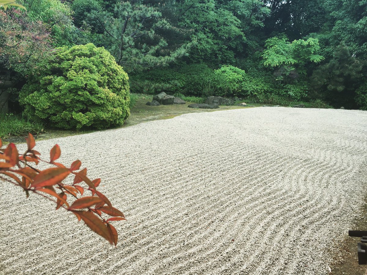 美甘子 歴ドル בטוויטר せいこうの歴史再考 ロケ順調に進んでおります こちらは 利休が10代の頃修行した南宗寺 枯山水庭園は 古田織部作 自然の木々を活かした庭園作りは圧巻 千利休 古田織部 南宗寺