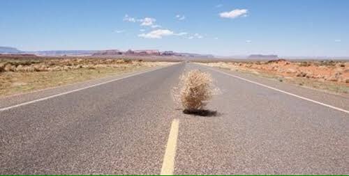 EthanKarpathy's tweet photo. I was relating to how I'm never on Twitter :/ here's more tumbleweeds anyway https://t.co/AnyjY9tOcK