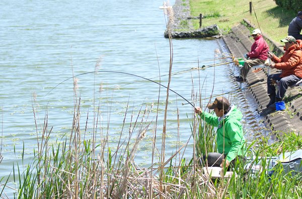 Tsurinews Inc 生井澤聡の生き生きリポート 神栖市にある神之池での乗っ込み釣り 昔から大型が釣れると知る人ぞ知る釣り場だったが 情報が少なく取材ではリスキー過ぎると敬遠してきた ならばと立ち上がってくれたのが生井澤だった 次号週刊 へら
