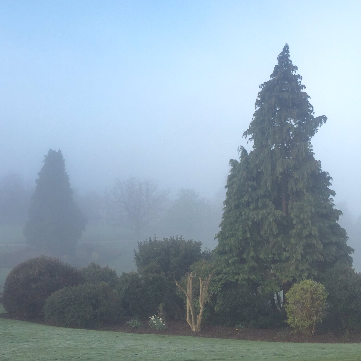 DavidWestbrooke's tweet photo. Pretty, but freezing again this morning. April really is the cruellest month. #TunbridgeWells https://t.co/PQb4MvuvrE
