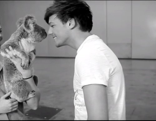 Dany1DKILLJOY's tweet photo. Momento en el que le tengo envidia a un koala #ProyectHomeLouisDay #LouisDay https://t.co/tBY3sb8wkd