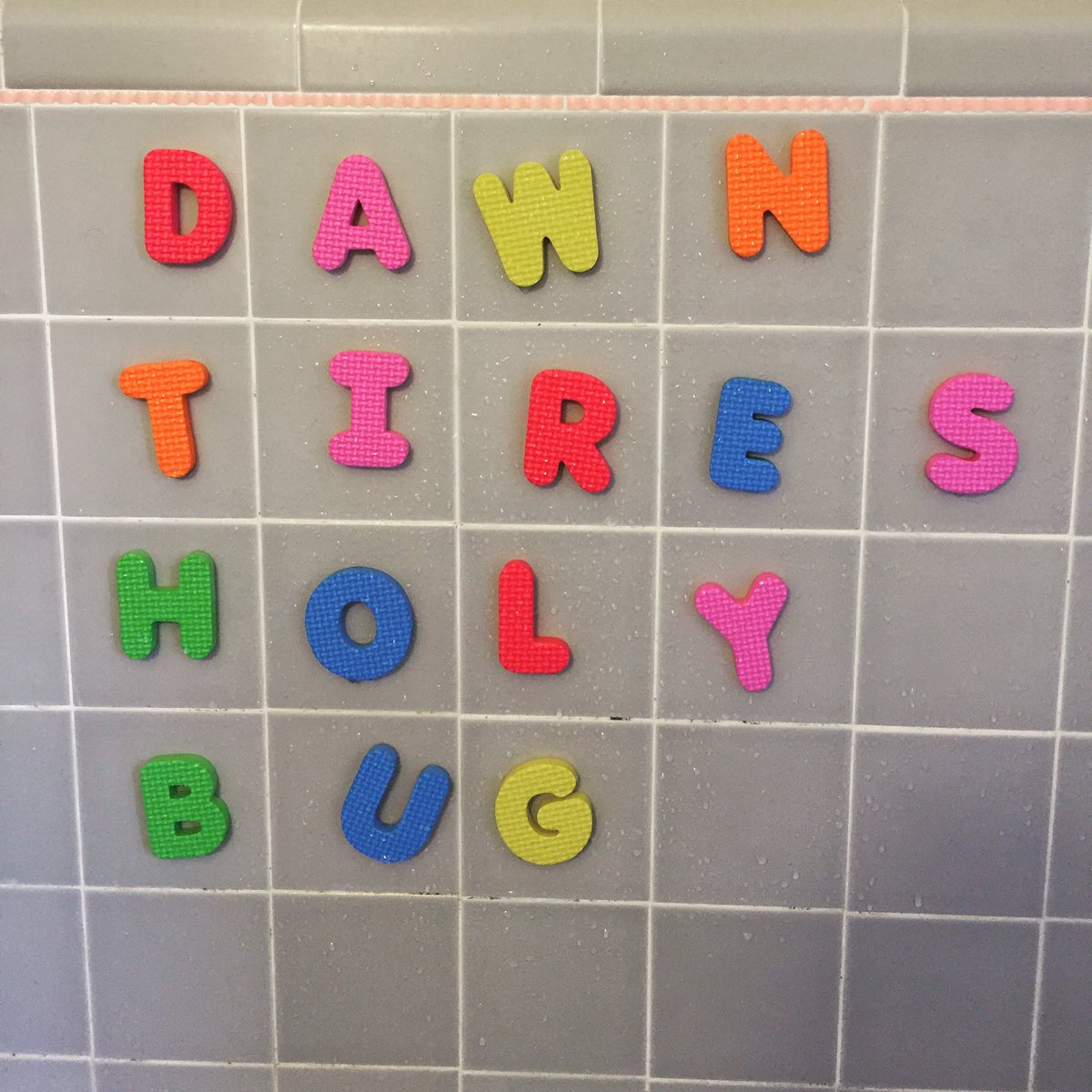 insta_pangrams's tweet image. We ever pray for thee, sweet bug of the morning tires #shower #pangram #funwithwords #holybugs #bugs #silly