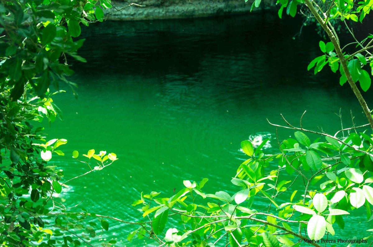 MireyaSally's tweet photo. #lovephotography 
Enamorada de la naturaleza 😍📷 https://t.co/QOLa6NDOtp