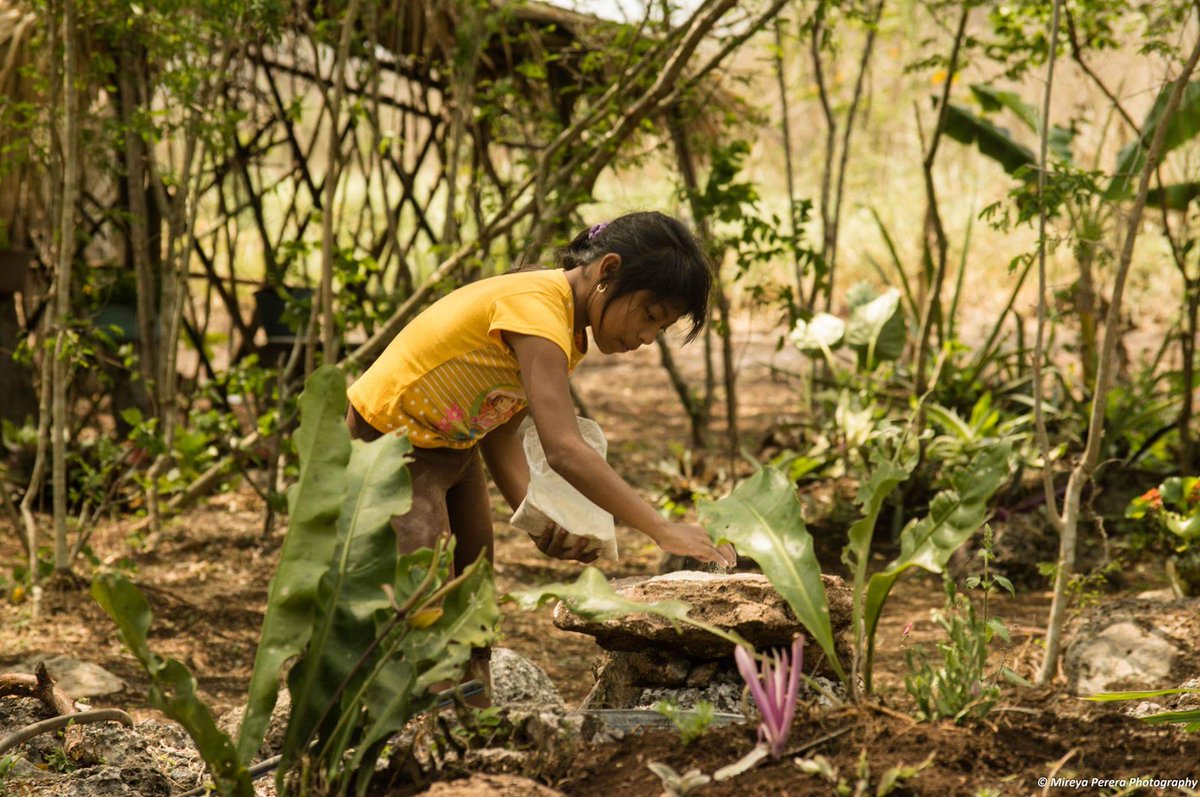 MireyaSally's tweet photo. #lovephotography 
Niña dejando alimento para los pajaritos.
Que bello momento 😍📷 https://t.co/TMGlE1A8Bv