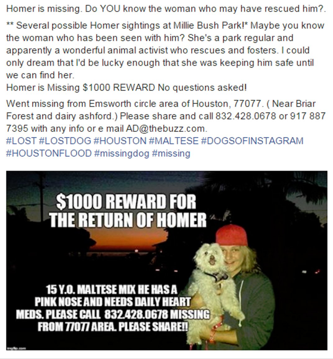 Homer is missing from 77077. Do YOU know the woman who may have rescued him? Pls read and share. #lostdog #houston