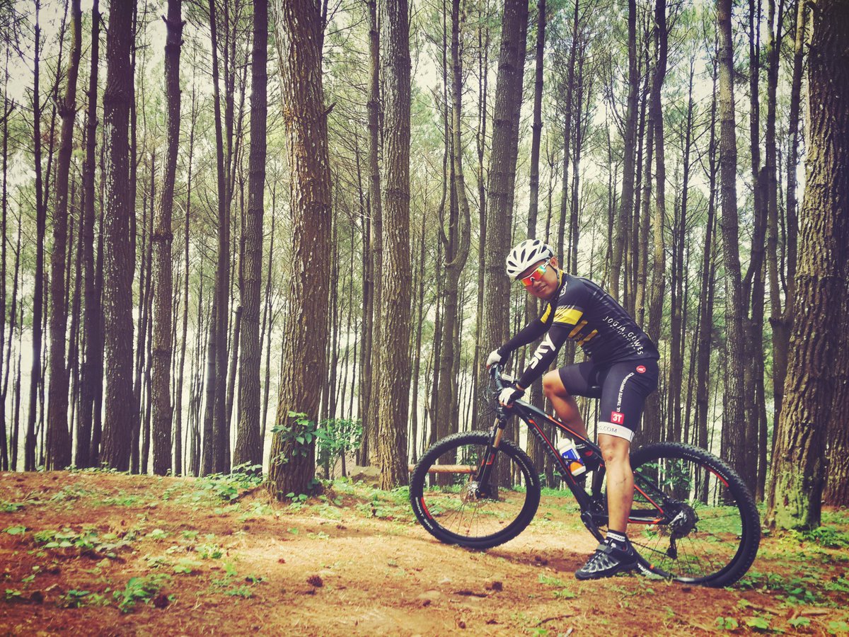 yudawputra's tweet photo. Menikmati puncak hutan pinus dlingo bantul. 

#polygonbike #siskiu #jogja https://t.co/r05n0rXhRW