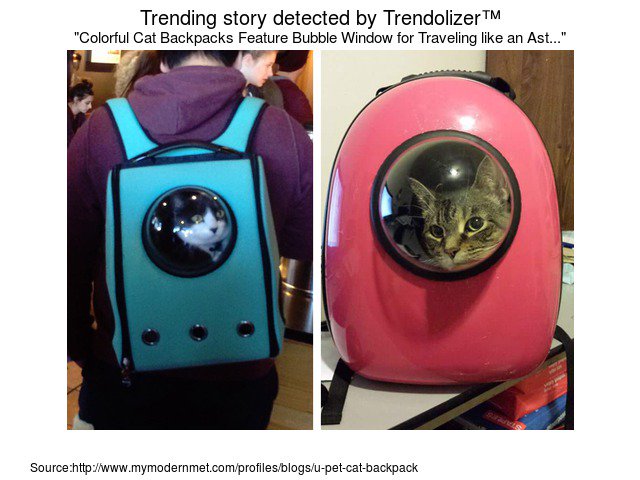 LoveYeager's tweet photo. Too cool! #kittybackpack https://t.co/OKooXaXiVH