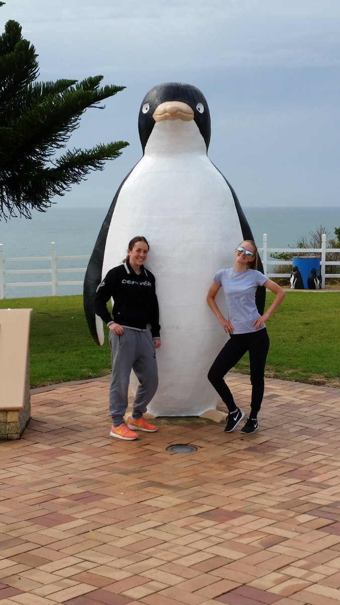 LivingstoneRuby's tweet photo. This is the prime attraction in Tasmania here at Mersey Valley Tour 😂🐧 @HannahGumbley looking cool as ever #roxsolt https://t.co/OmZwEyxNrt
