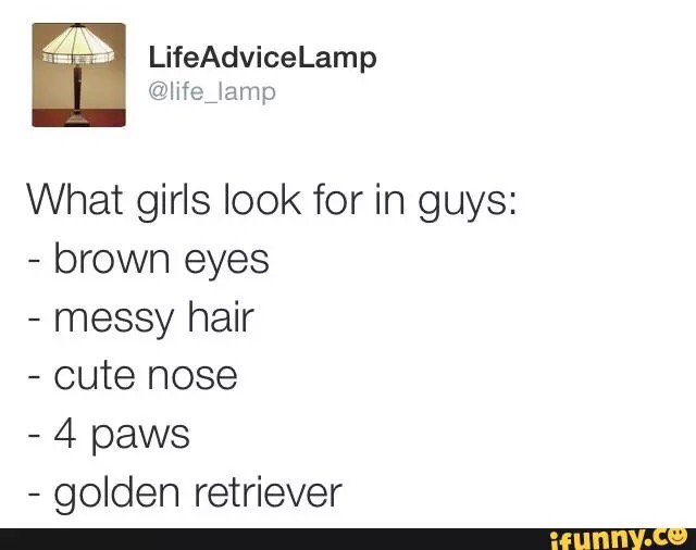Grandpawsplace's tweet photo. #lifeadvicelamp #girl #qualifications #iFunny https://t.co/lC4J9JImuH https://t.co/CZIiIK7mI0