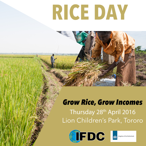 It’s happening TODAY #RiceDay Come&amp; share experiences in #RiceProduction #AccessToFinance #MarketLinkages in #Tororo
