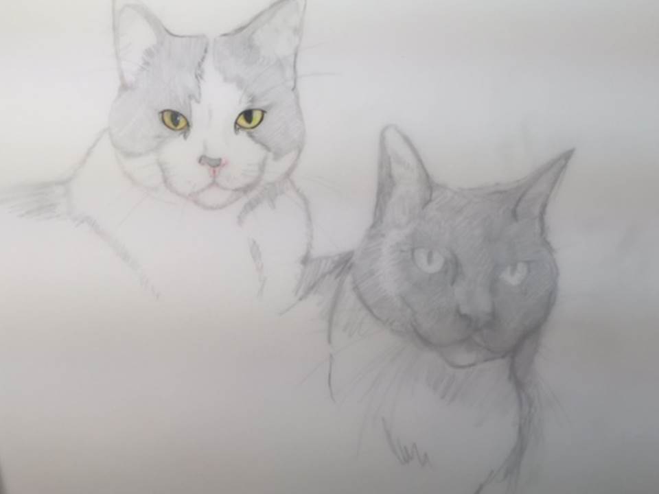 pmmfa's tweet photo. Shy cats my next project Cowboy and Tahoe fun to work on https://t.co/RZyYgj2xpX #fineart #Prismacolor #grafix https://t.co/WfVP2YMADs