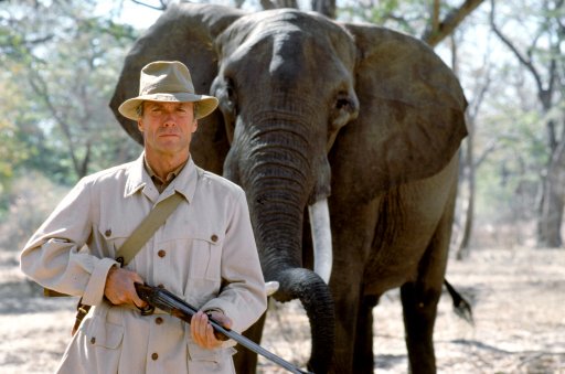 ワーナー ブラザース ジャパン 本日は象の日 クリント イーストウッドが製作 監督 主演を務める ホワイトハンター ブラックハート は 象狩り に憑かれた映画監督を描いた作品です クリント イーストウッド監督の最新作 ハドソン川の奇跡 も楽しみ