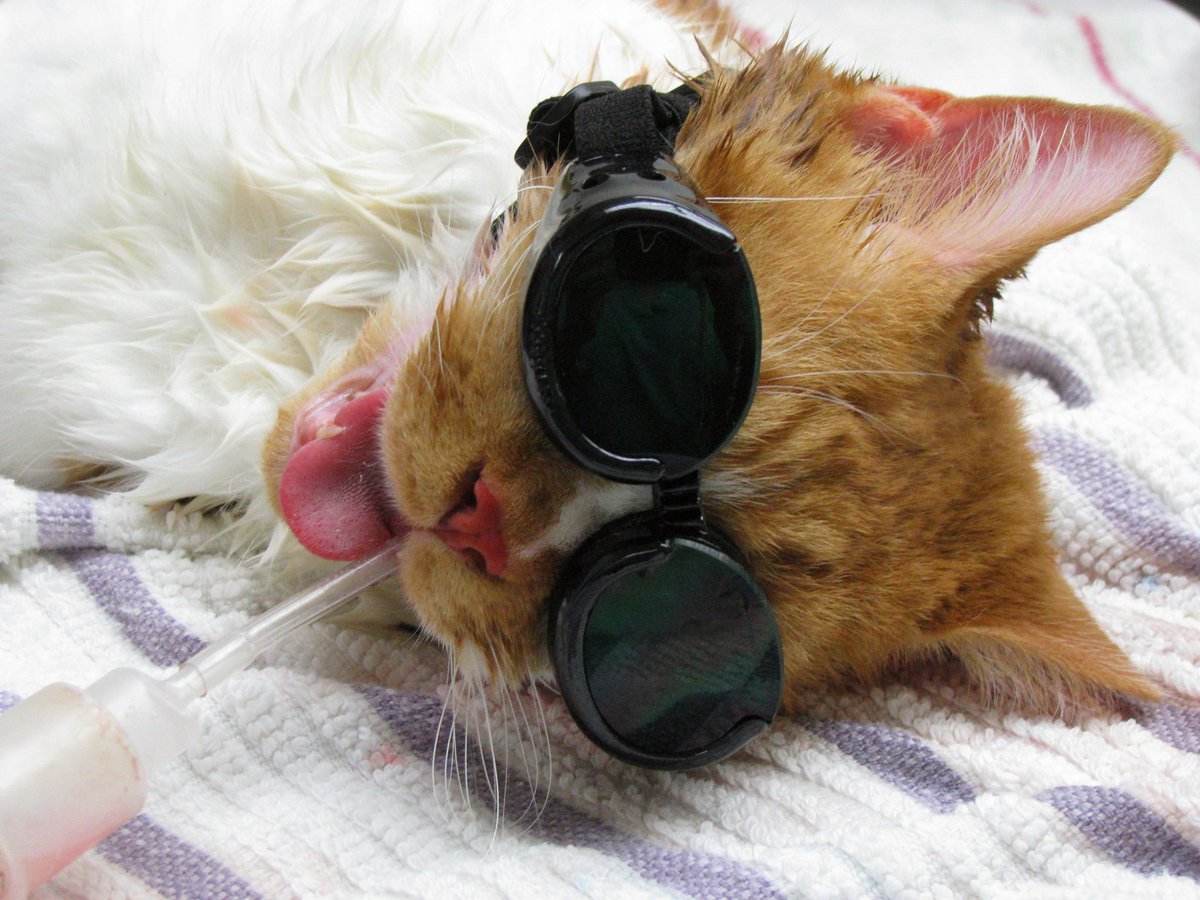 Marc Sledjeski tweet media