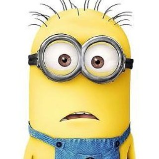 Pcola_510's tweet photo. @JustineWaldman @kron4news @HoustonRockets This Is How #HoustonFans Right Now #Lol #ThisIsOurTown #TakeNotesSon https://t.co/6v7Mz3XPxx