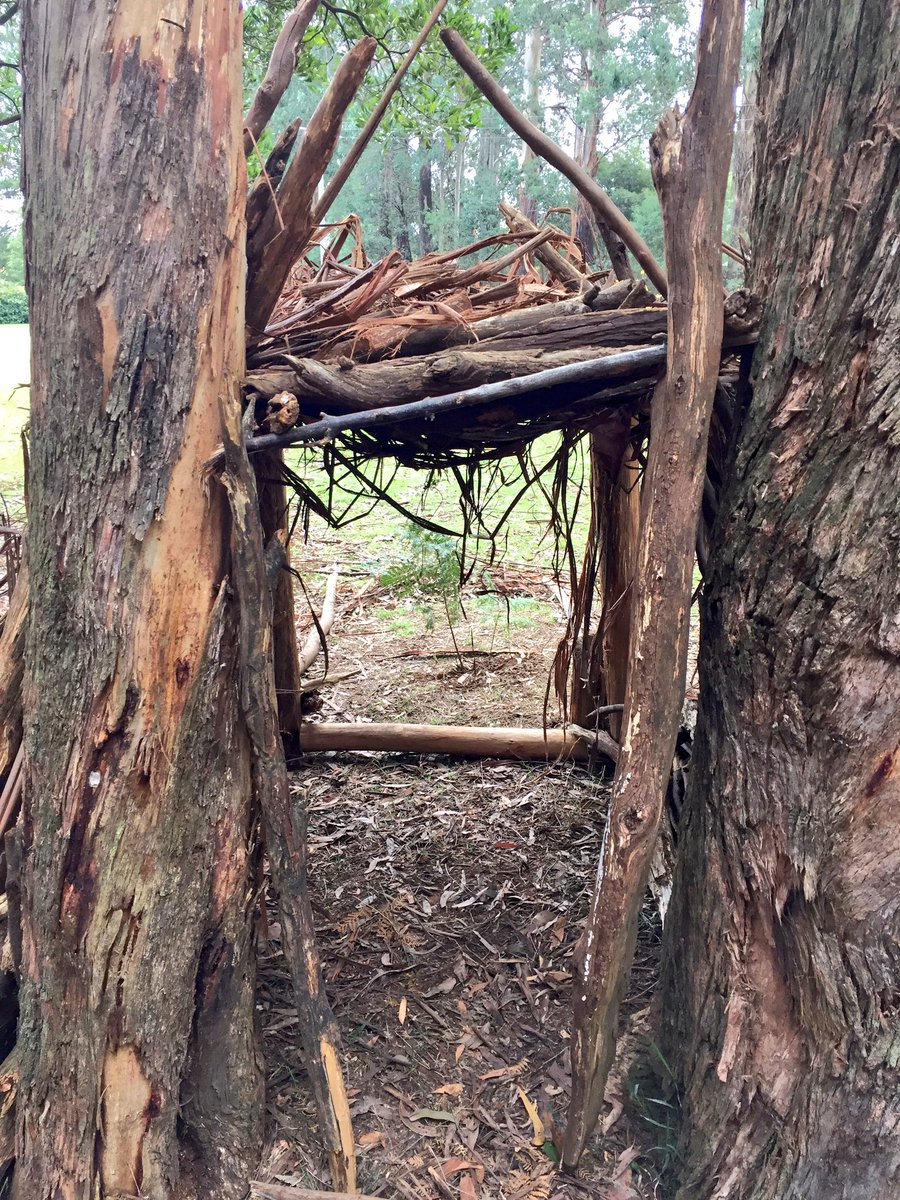 Bushhut building in the Toolangi forest #MGGS7camp #survivalskills #encourageinnovation