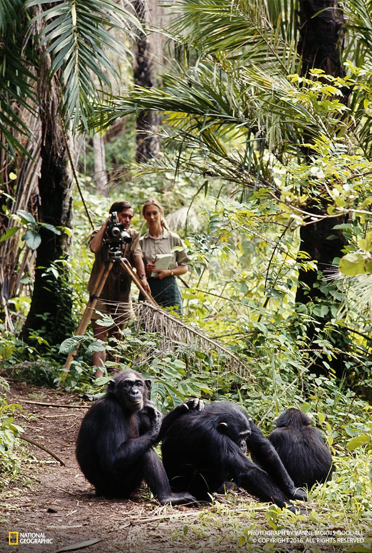 NatGeoPhotos's tweet photo. These National Geographic photos have been hurtling through space for almost 40 years: https://t.co/IOc8Z2j1Gh https://t.co/Dak0XNUqDw