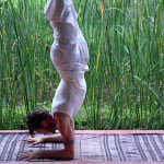 anserai's tweet photo. #baliyogis #ourtopthree
https://t.co/spIUXaeIk1 https://t.co/qEGHoerFA2