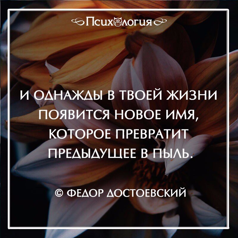 влажненько (@vlazhnenko) on Twitter photo 