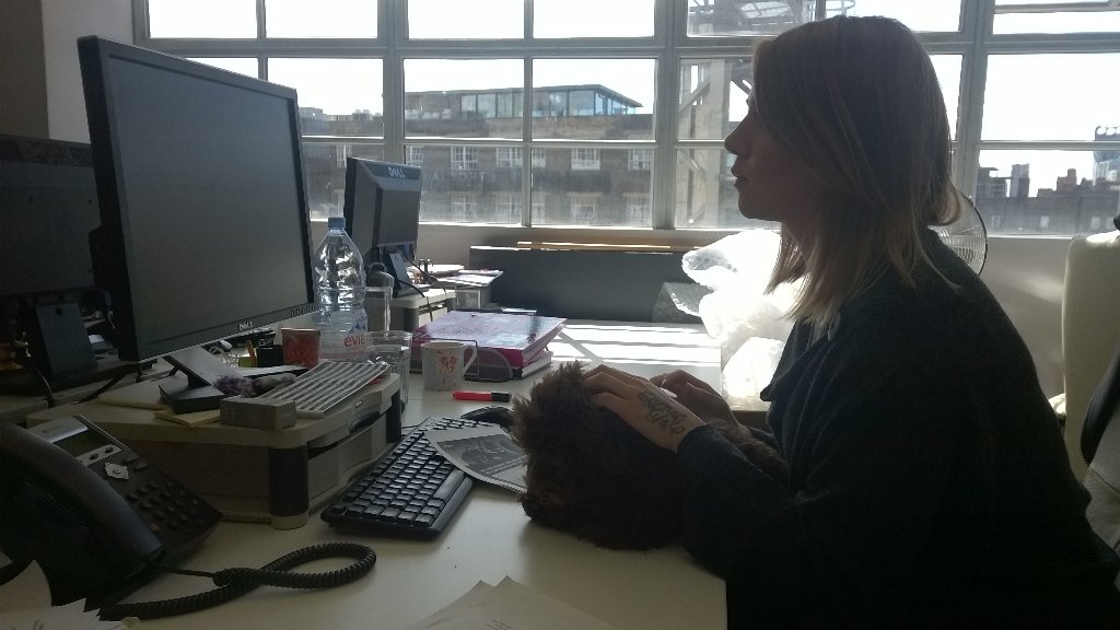 Faye3011's tweet photo. @SauceRec has Bailey Bryden in the office today. #chasingLeads, #loveMyJob #DogsCanRecruitToo https://t.co/qcA9E6nqXm