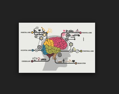 MattDunfordUK's tweet image. #brain #brainactivity #brainpathways