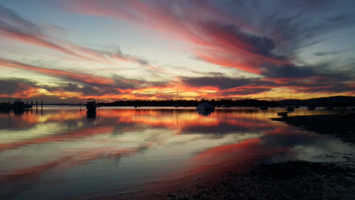 TKAnderson tweet media