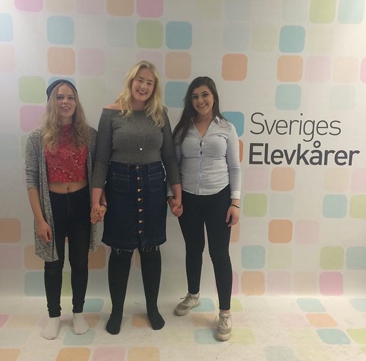 avaelevkar tweet picture