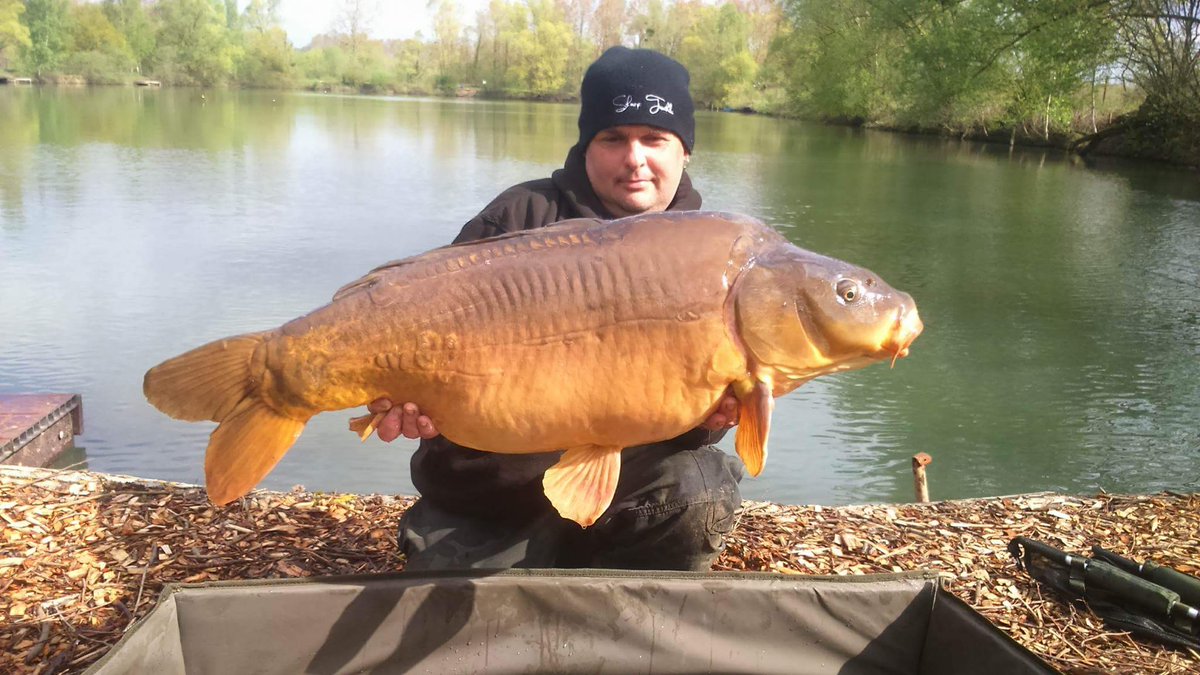 SharpTackle's tweet photo. Team member Danny callis 36lb mirror - curveshank size 4 #nailed #sharptackle https://t.co/iLgemjERqh