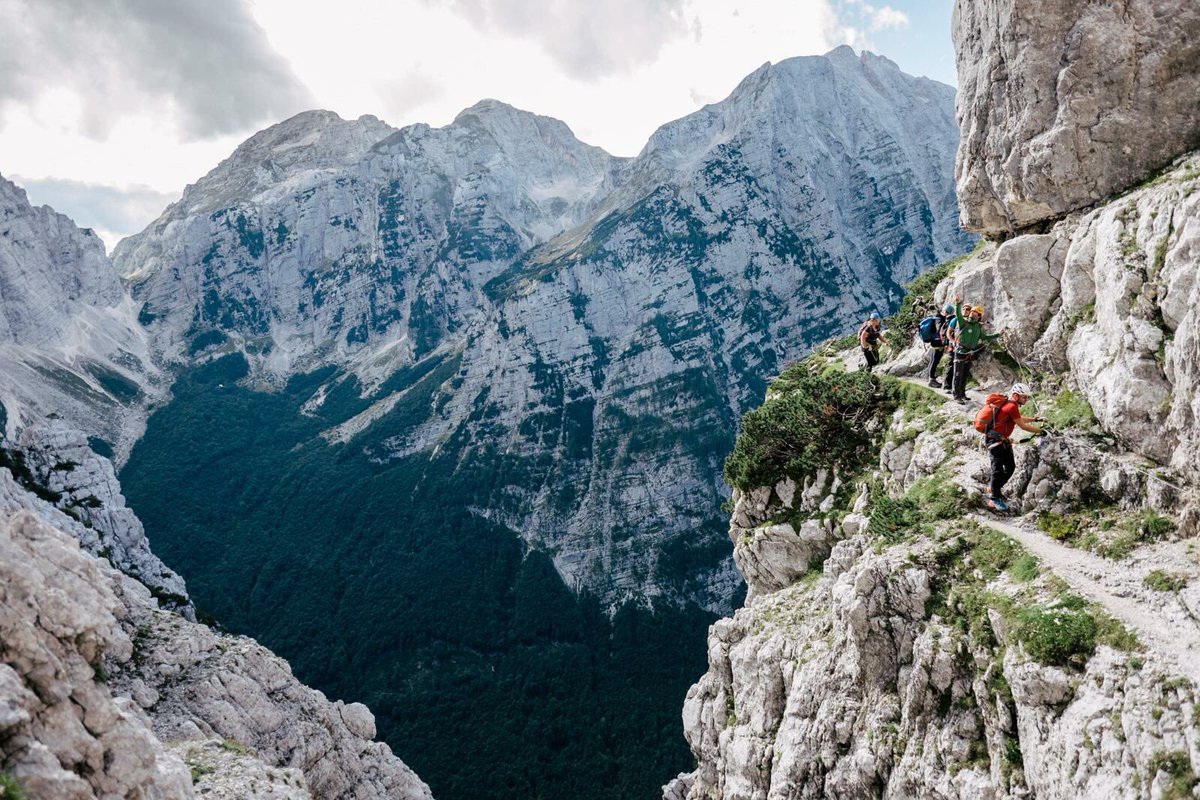 Young Adventurers tweet media