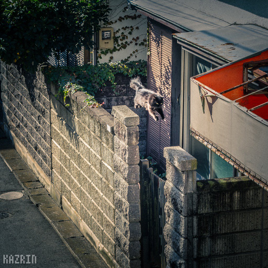 かずりん📸 (@kazrin_tw) / Posts / X