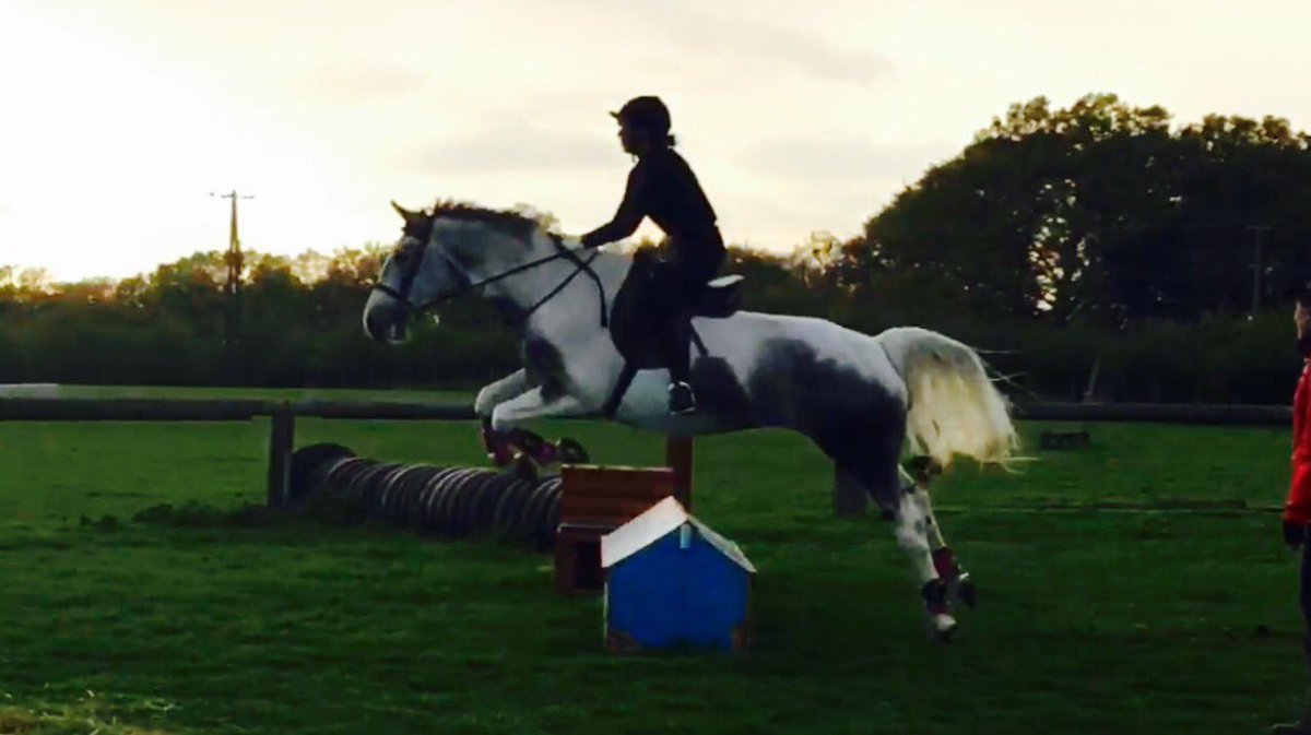 SBArenaEventing's tweet photo. Picture of the day. #jumpclinic #arenaeventing @WoodredonEC https://t.co/nntweFFGcB