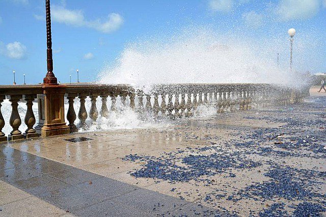 meteogiornaleit's tweet photo. Piccole #meduse #velelle azzurre, a #Livorno colpito anche #lungomare e la #TerrazzaMascagni
https://t.co/5w6H4MHBL4 https://t.co/1kcvuLPN9J