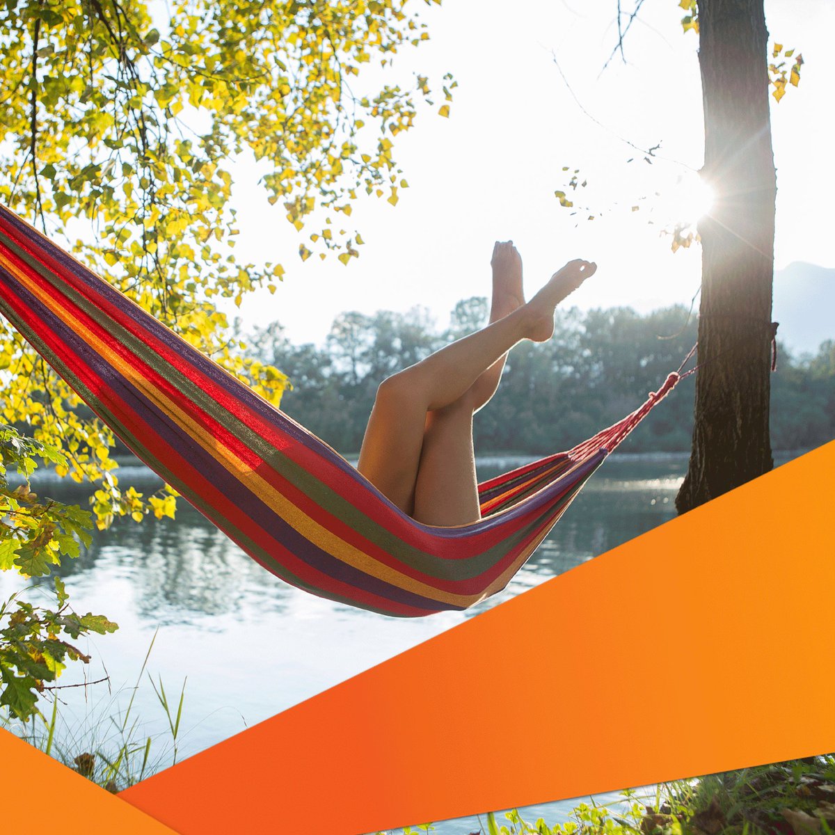 FlyMangoSA's tweet image. We know that not all of us were designed the same! For our taller Guests, choosing us means you get extra legroom.