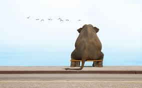 Kind_desLichts's tweet photo. #B2B #Marketing #Automation: It's Not Just for the Big Guys https://t.co/dSPqINejGo
#smallbusiness https://t.co/QDoFL7GpWs
