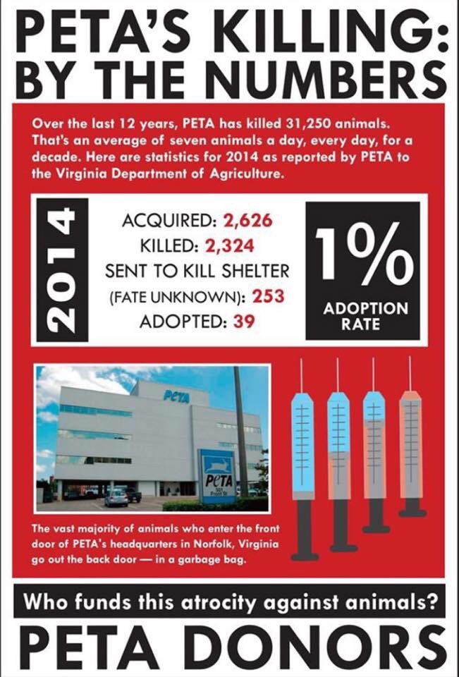 Arivera916Jake's tweet photo. @TurmaresTarifa https://t.co/3Buva6lLoF