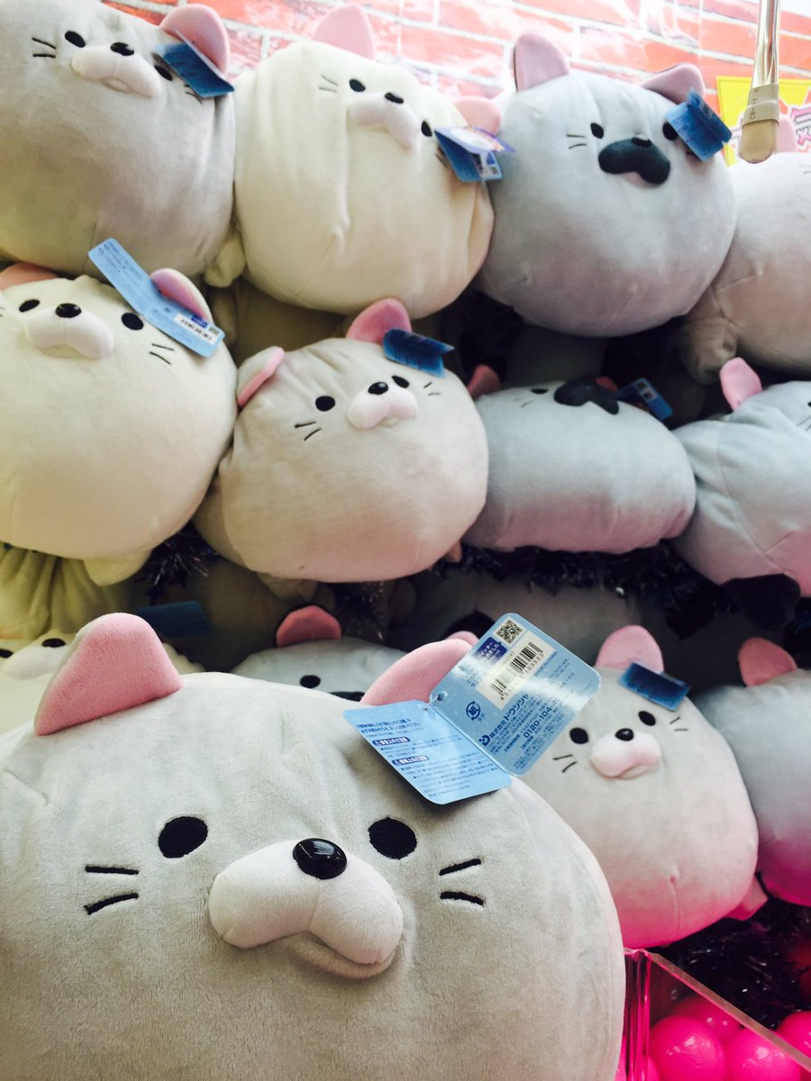 再入荷】大人気、ごろねこサミットぬいぐるみクッションが再入荷！1度