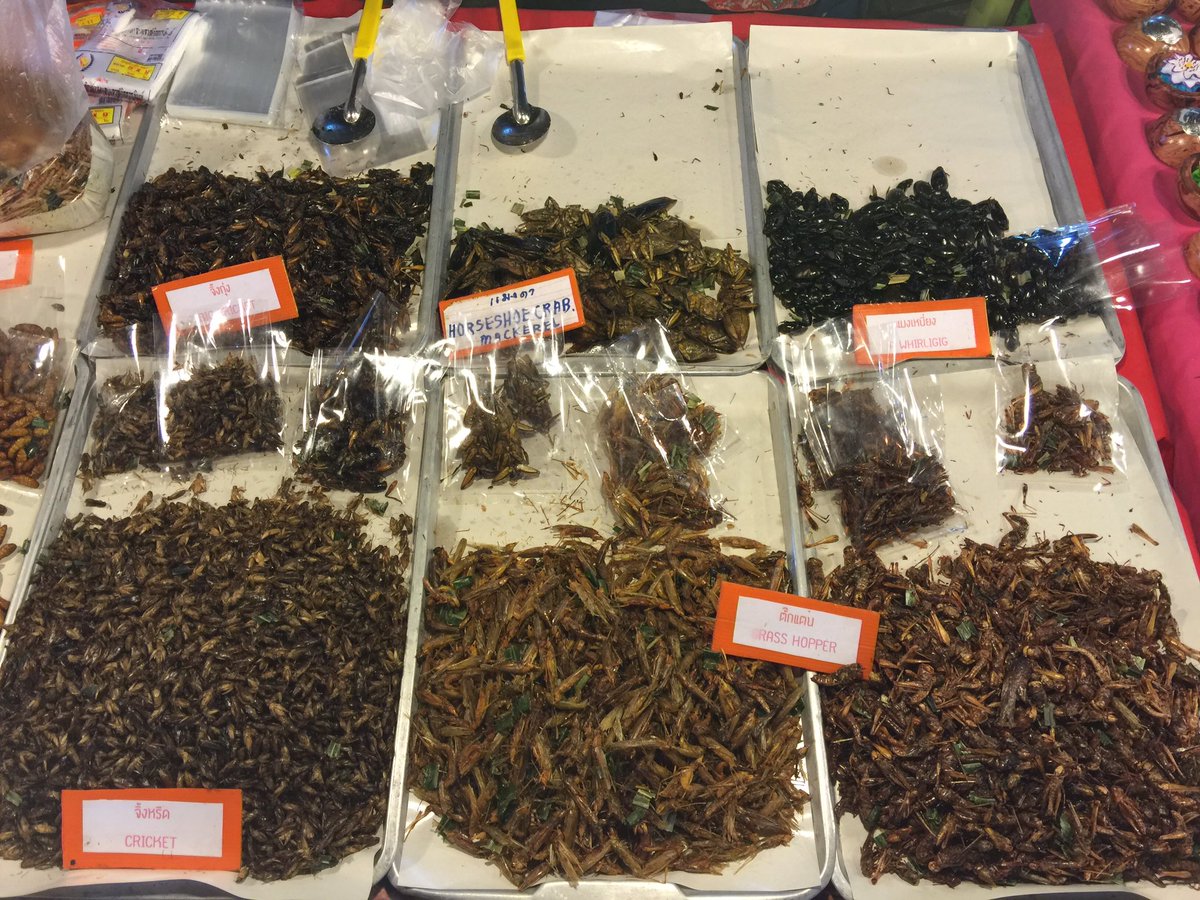 iFSTT's tweet image. 越来越喜欢这个小城，能安静的发呆也是一种幸福