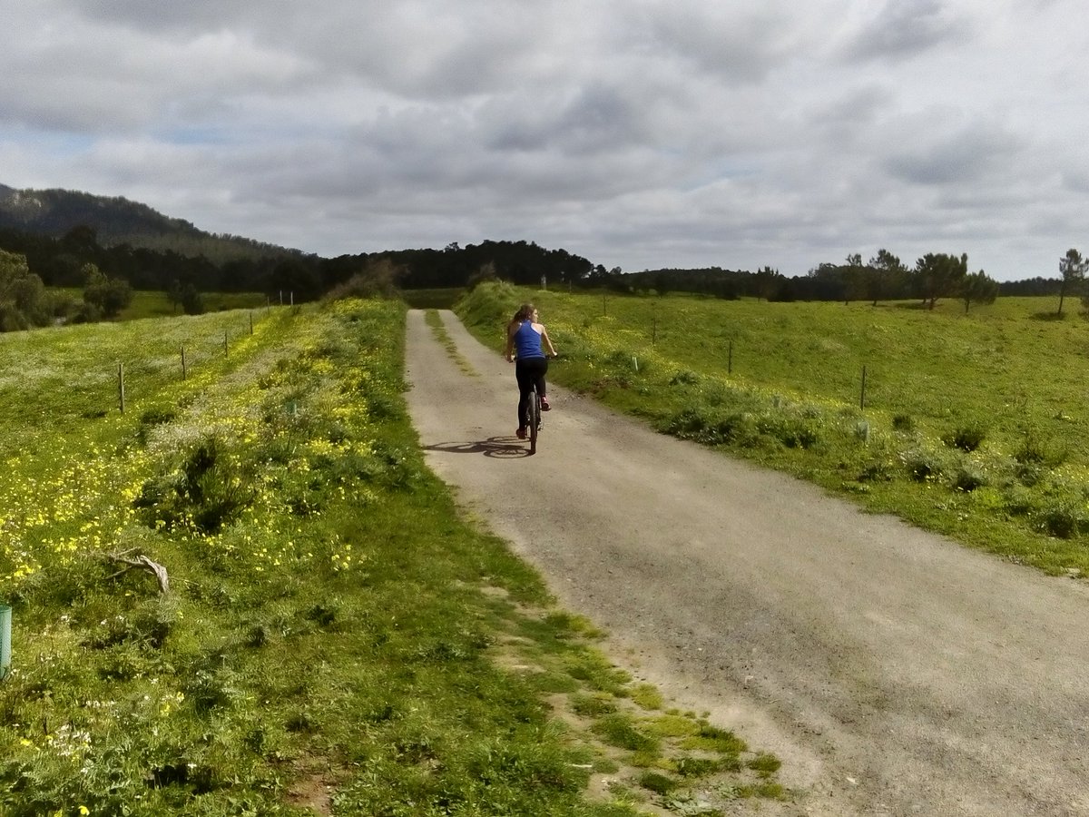 Spring time in Portugal.
Biking in Sintra-Cascais Natural Park.
#Mountainbike #biking #nature #love #Portugal