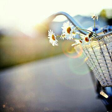 Design_98's tweet image. 