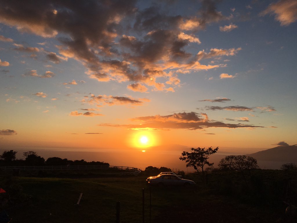addfuns's tweet photo. #Maui では、この景色を見ながら #9thWaveGallery の畑も手伝いました。#kale がモリモリ！ https://t.co/MEx8a7sTn2