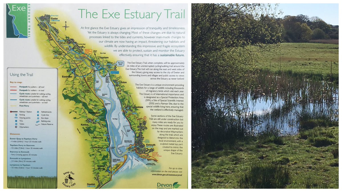 Great trails views and food stops along the #ExeEstuaryTrail either walking or cycling @DevonLife @Devon_Hour