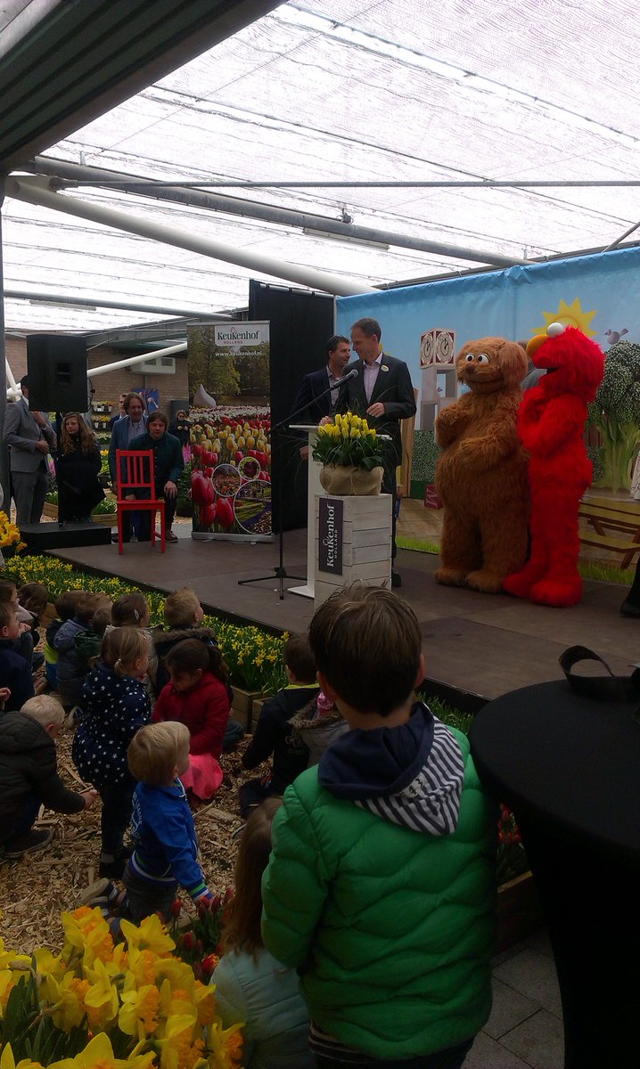 visitkeukenhof's tweet photo. Bijna zover: doop sesamstraat tulp. 

#sesamstraat #keukenhof #tulpdoop https://t.co/Gf3dhQAmxS