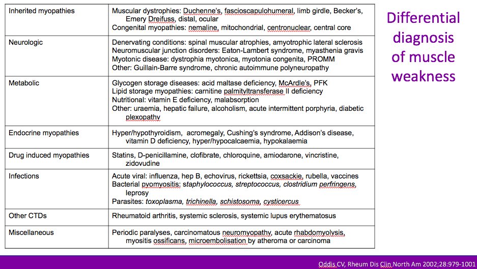 Sami Serafi (@Samiserafi) | Twitter