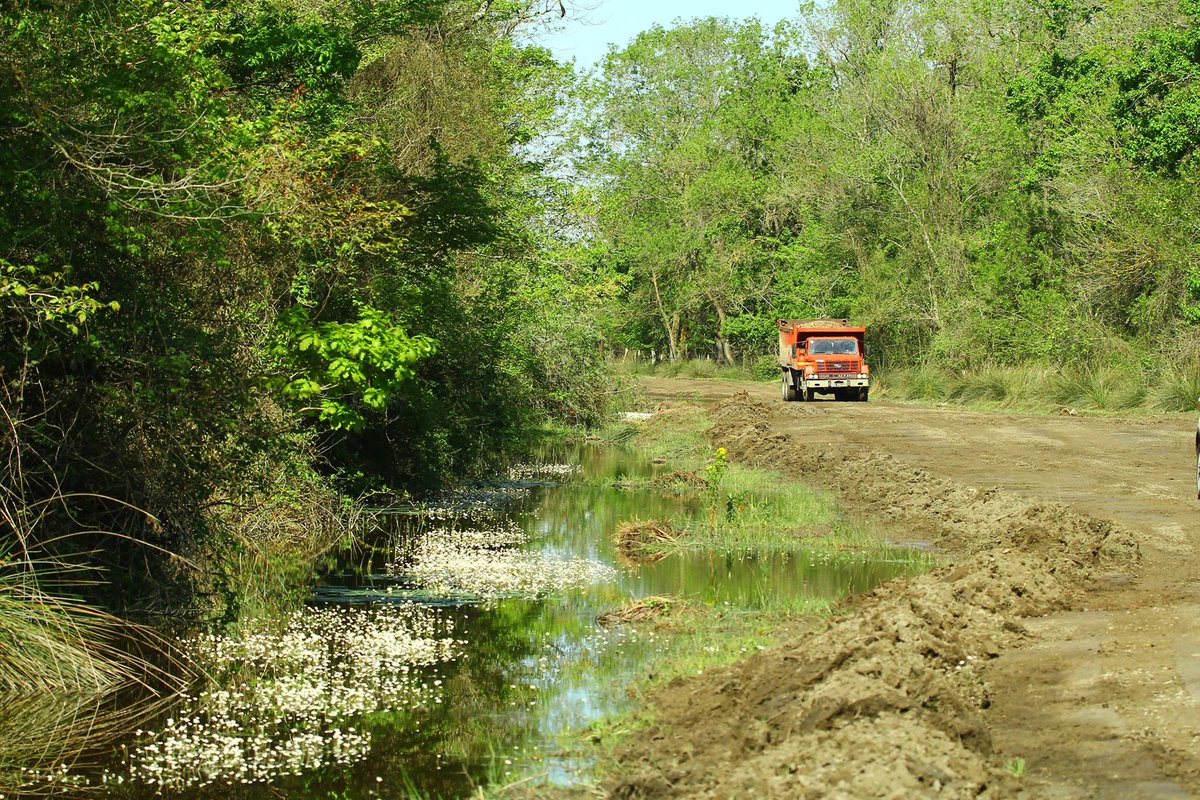 Kuş cennetinde dozerler, damperli kamyonlar. Samsun Belediyesi Kızılırmak Deltası'ndan yol geçiriyor. #durde