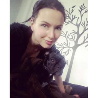 Frenchie_Cute's tweet photo. Two #Frenchies 🐶
#Frenchbulldog
#Selfie 💁
#Smile 😊
#Wanugram 💪
#Lappeenranta 😶 https://t.co/svP0eqSMER https://t.co/wqI3GwHDpc