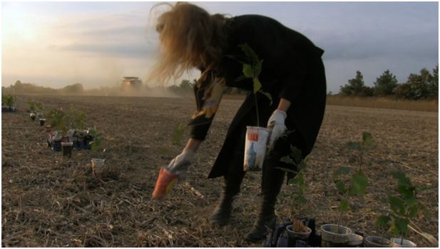meldcc's tweet photo. #PropagationProject #LucyPalustris @TAG_CK #art #climatechange #nature https://t.co/vVJ52ZPQ2H
