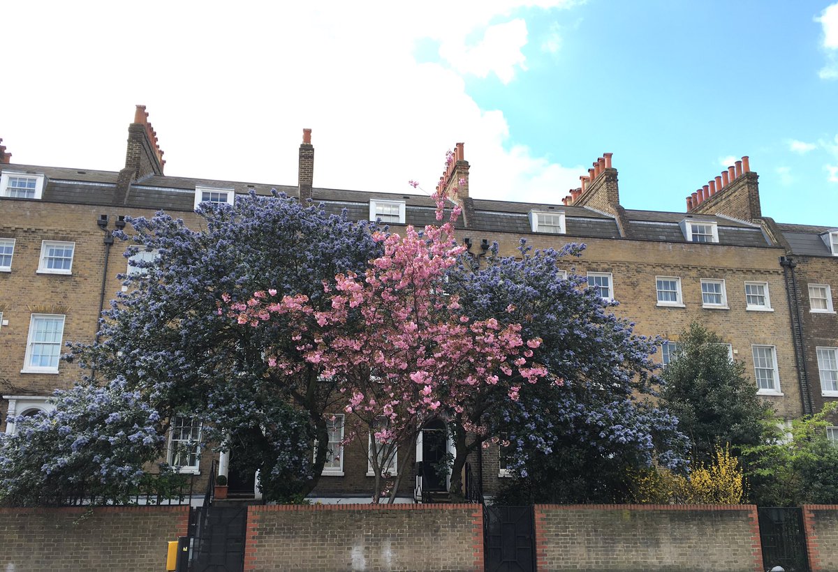 KateRoseMorris's tweet image. A thing of beauty on the Old Kent Road @se1