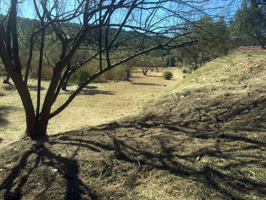 ppcalafelltarr1's tweet photo. Limpieza del  torrente de la urbanización Mas Romeu. #PpCalafell #PpcSeguimostrabajando #Segur de #Calafell https://t.co/z2TqKfzvLw