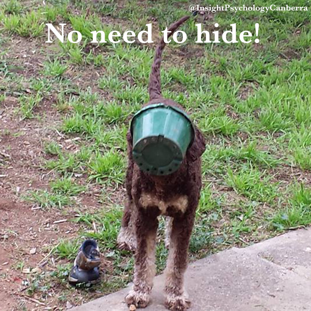 InsightPsych_'s tweet image. #Shame can make you want to hide from the world. Take #courage and come out from behind the bucket. #psychology