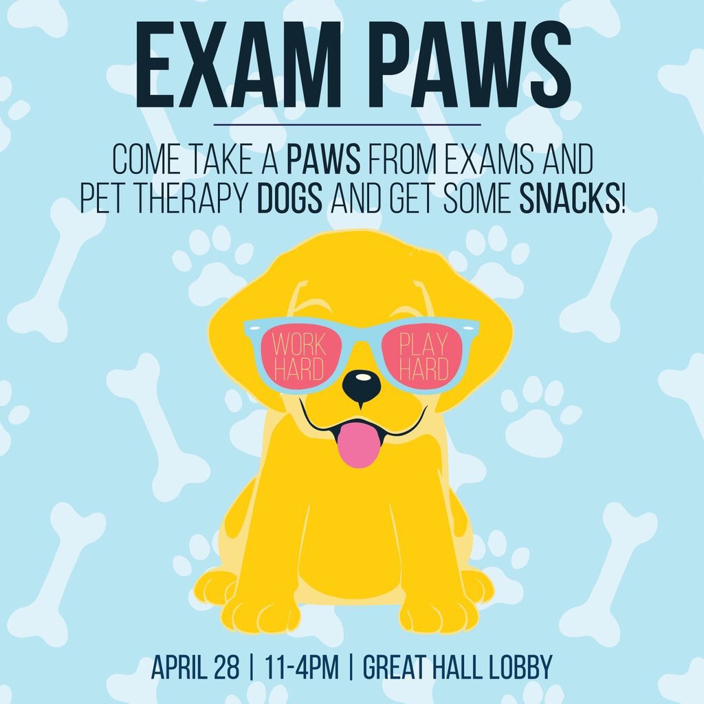 IT'S THE BEST DAY OF THE YEAR! ok not really bc exams suck, but make studying less painful w/ some sweet sweet pups🐶