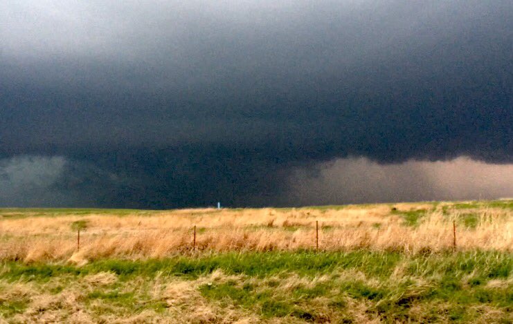 Timothy Eric  Sampley tweet media